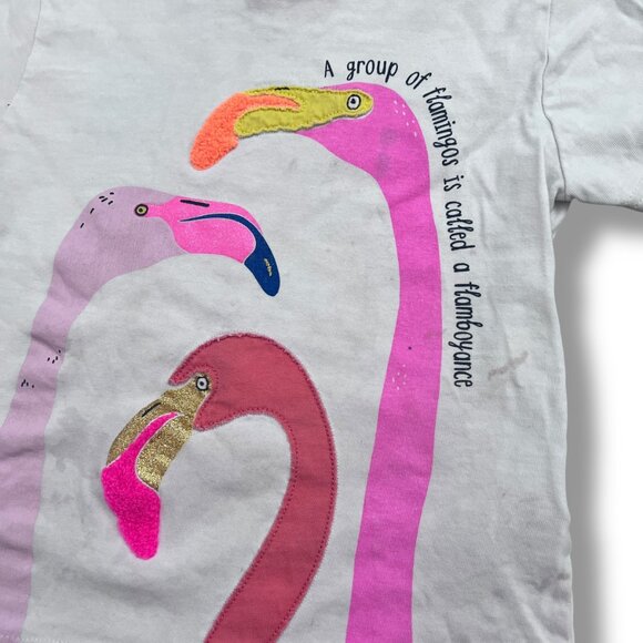 Mini Boden Pink Flamingo Appliqué Flamboyance Facts Short Sleeve Shirt Size 4-5Y - Picture 2 of 5